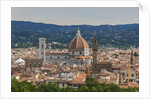 View of Santa Maria del Fiore Cathedral and Palazzo Vecchio from Forte Belvedere by Anonymous