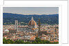 View of Santa Maria del Fiore Cathedral and Palazzo Vecchio from Forte Belvedere by Anonymous