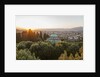 View of Boboli Garden and Kafehaus from Forte Belvedere, by Anonymous