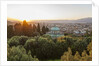 View of Boboli Garden and Kafehaus from Forte Belvedere, by Anonymous