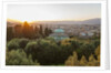 View of Boboli Garden and Kafehaus from Forte Belvedere, by Anonymous