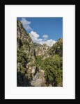 Furore by Anonymous