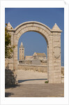 View of the Cathedral by Anonymous