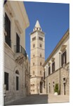View of the Cathedral by Anonymous
