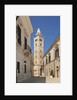 View of the Cathedral by Anonymous
