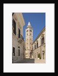 View of the Cathedral by Anonymous