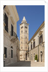 View of the Cathedral by Anonymous