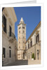 View of the Cathedral by Anonymous