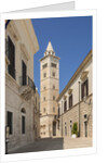 View of the Cathedral by Anonymous