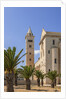 View of the Cathedral by Anonymous