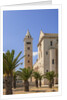 View of the Cathedral by Anonymous