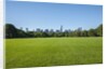 Central Park by Anonymous