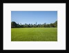 Central Park by Anonymous