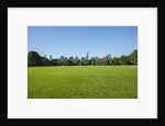 Central Park by Anonymous