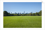 Central Park by Anonymous
