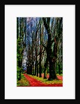 Trees and Way by Anonymous