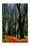 Trees and Way by Anonymous