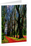 Trees and Way by Anonymous