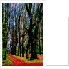 Trees and Way by Anonymous