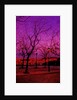 Square in Pink and Orange by Anonymous