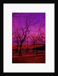 Square in Pink and Orange by Anonymous
