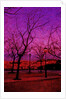 Square in Pink and Orange by Anonymous