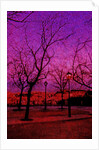 Square in Pink and Orange by Anonymous