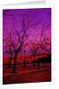 Square in Pink and Orange by Anonymous