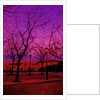 Square in Pink and Orange by Anonymous