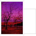 Square in Pink and Orange by Anonymous