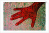 Hand by Anonymous