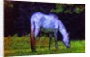 White Horse by Anonymous