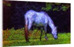 White Horse by Anonymous