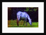 White Horse by Anonymous