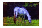 White Horse by Anonymous
