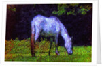 White Horse by Anonymous