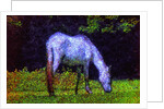 White Horse by Anonymous