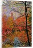 Tree and Canal by Anonymous
