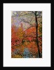 Tree and Canal by Anonymous