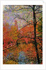 Tree and Canal by Anonymous