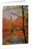 Tree and Canal by Anonymous