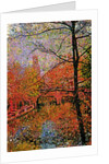 Tree and Canal by Anonymous