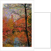 Tree and Canal by Anonymous