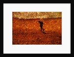 Lost by Anonymous