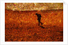 Lost by Anonymous