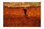 Lost by Anonymous