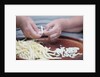 Woman selecting and separating green beans from pods by Anonymous