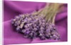 A bouquet of lavender flowers on a purple canvas by Anonymous
