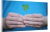 Man holding four-leaf clover by Anonymous