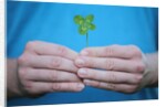 Man holding four-leaf clover by Anonymous